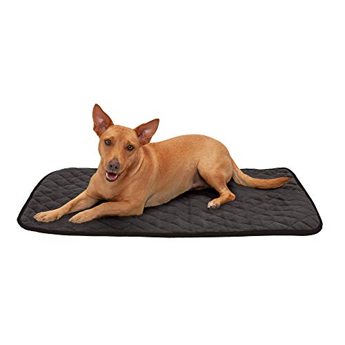 Furhaven ThermaNAP Quilted Velvet SelfWarming Blanket Pet Mat