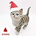 CITONG Gray Cat Outdoor Figurine - Cat Garden Statue Decor Indoor or Outdoor