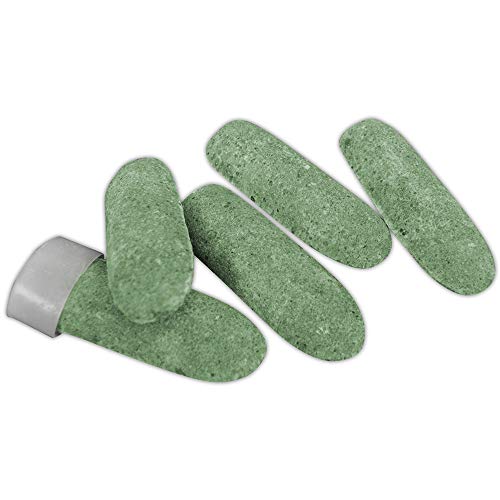 2 Jobes+Evergreen+Fertilizer+Spikes+13+3+4