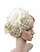 Urban CoCo Women's Feather Beads Net and Veil Fascinator Hair Clip Hat for Cocktail Party (Rice)