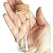 Luo House 10pcs 40ml Small Mini Glass bottles Vials Jars Glass Test Tube with Cork Stoppers 40ml 30x80mm(1.18x3.15inch)