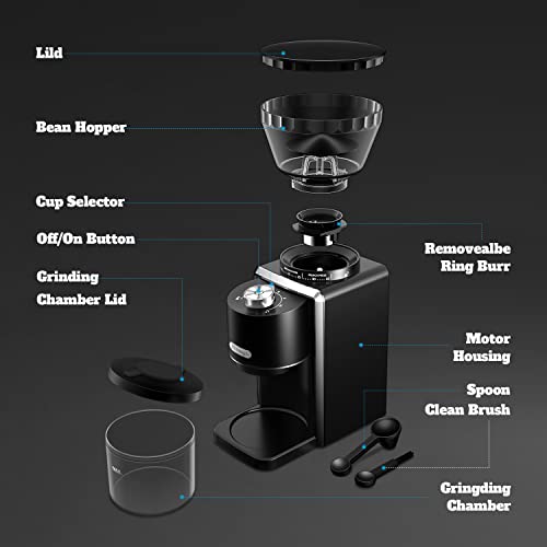 Biugh Conical Burr Coffee Grinder, Espresso Bean Grinder, Electric