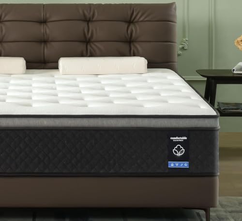 Faeuoit 10 Inch Hybrid Mattress