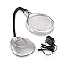 Carson DeskBrite 200 LED Illuminated 2X Magnifier & Desk Lamp (LM-20)