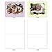 The Best Card Company - 10 Blank Dog Cards Assorted (4 x 5.12 Inch) - Adorable Boxed Animal Note Cards for All Occasions - Cuddle Buddies M6469OCB-NB