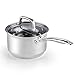 Cook N Home 2608 Lid 3-Quart Stainless Steel Saucepan, Silver