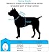 TIANYAO Dog Harness No-Pull Dog Vest Set Reflective Adjustable Oxford Material Pet Harness for Medium Large Dogs with Leash and Collar (X-Large(Chest:35-43”), Black)