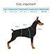 Pawaboo Dog Backpack, Pet Adjustable Saddle Bag Harness Carrier, for Traveling Hiking Camping, Medium Size, Orange & Gray
