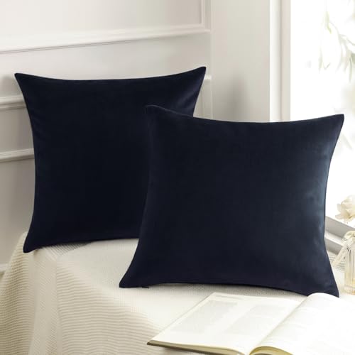 Phantoscope Velvet Decorative Throw Decorative Pillow