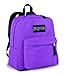 JanSport Classics Series Spring Break Backpack (Forge Grey)