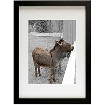 Golden State Art, 12x16 Picture Frame - Matted to Fit Pictures 8.5x11 Inches or 12x16 Without Mat (Black)