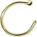 Body Candy Solid 18k Gold Nose Hoop Nose Ring, Real Gold Hypoallergenic Nose Piercing Jewelry - Handmade in USA by Master Jeweler, 20 Gauge 5/16