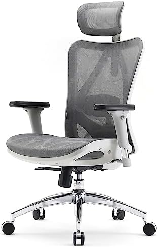 Adjustable Lumbar Grey Office Chair With Lumbar Support SIHOO M57