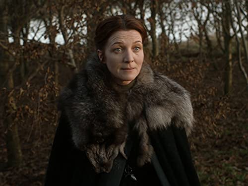 Amazon Co Jp ゲーム オブ スローンズ シーズン1 字幕版 を観る Prime Video