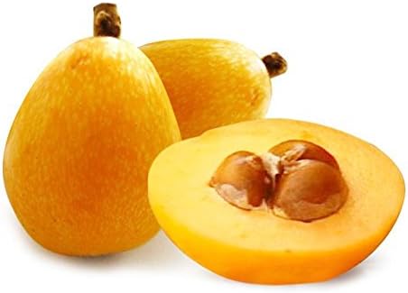Taloyer 20PCS Loquat Seeds Sweet Delicious Bonsai Fruit Seeds