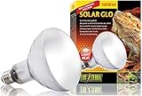 Exo Terra Solar-Glo High Intensity Self-Ballasted Uv/Heat Mercury Vapor Lamp, 125-Watt