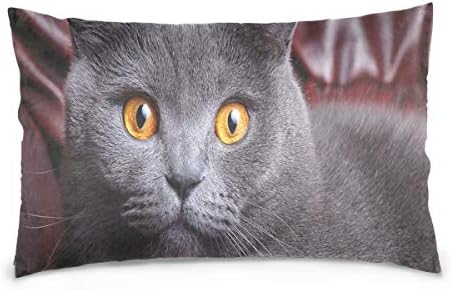 KMAND Bright Eyes Short Cat Cotton Pillowcase 16"x24" Twin Sides, Set of 2 Pillow Case Sham Cover Protector Decorative for Couch Bed