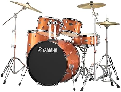 Amazon.com: Latin Percussion LP3012-SM LP Stanton Moore Pandeiro