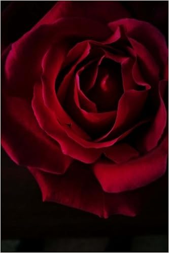 Red Red Rose Journal Red Rose Journal Red Rose Notebook