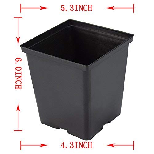 Penseetek 24 Pack 1/2 Gal Plastic Square Nursery PotsSquare Nursery