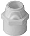 Genova Products 30407CP 3/4-Inch Male Iron Pipe Thread PVC Pipe Adapter Slip by Male Iron Pipe Thread - 10 Pack primary