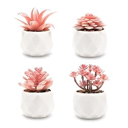 VIVERIE Mini Succulents Plants Artificial in
