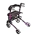HealthSmart Walker Rollator with Seat and Backrest, FSA HSA Eligible, Adjustable Handle Height, Storage Bag and a Durable Lightweight Frame That Easily Folds While Supporting up to 300 pounds