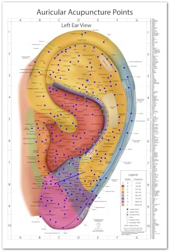 Auriculotherapy Manual: Chinese and Western Systems of Ear