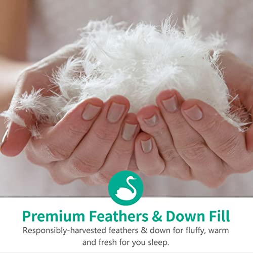 APSMILE Grey Feathers Down Comforter Queen Size, All Seasons Feathers