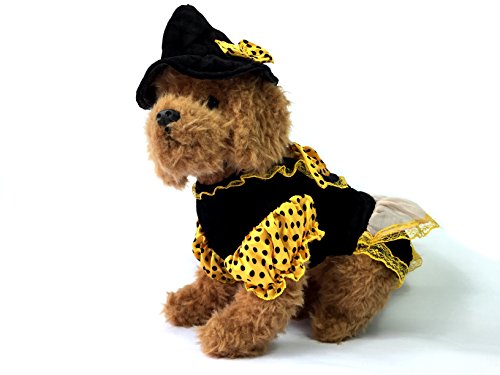 Halloween Witch Dog Costume with Hat