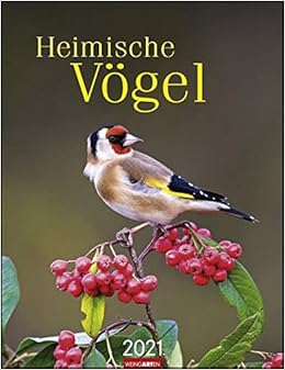 Heimische Vogel Kalender 2021 Amazon De Weingarten Bucher vogel kalender 2021