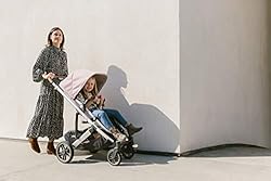 Cruz V2 Stroller - Bryce