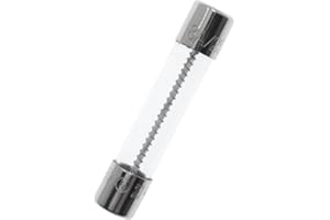 Yoiilnz 8Amp 250V Glass Fuse 8A Time Delay Slow-Blow 6.3x31.8mm/0.25"x1.25" Spiral Wire 8A/250V Set of 5