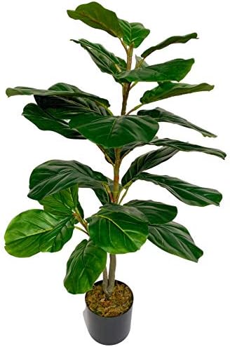 受注生産品 Lodge Podge 人工フィドルリーフ イチジク 木鉢植え植物 フィカス リラタ 葉 28インチ シルククロス