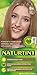 Naturtint 8N Wheat Germ Blonde Permanent Hair Color (Pack of 6), Ammonia Free, Vegan, Cruelty Free, up to 100% Gray Coverage, Long Lasting Results (Packaging may vary)