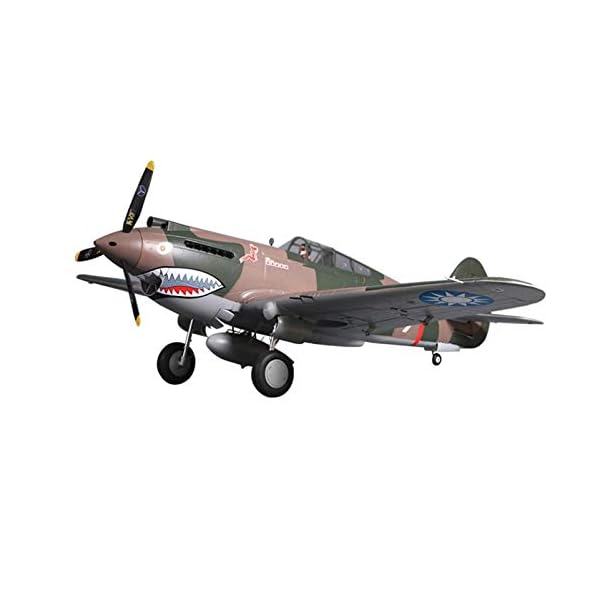 DBG 1400mm P-40 Warhawk Flying Tiger RC Flugzeug PNP-Skala Gaint Warbird Modell Flugzeug Flugzeug