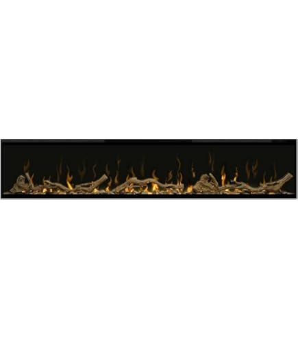 Amazon.com: Ignite Evolve 74 Inch Built-in Linear Electric