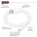 IFLASH [Apple MFi Certified] (3 Feet) Flat & Tangle Free Lightning to USB Sync and Charge Cable for iPhone Xs MAX, XS, X, 8 Plus, 7 Plus, iPad Pro Air Mini - [Flat & Tangle Free Style, Gray Color]