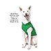 Gooby - Fleece Vest, Small Dog Pullover Fleece Jacket with Leash Ring, Green, X-Large