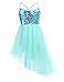 TiaoBug Kids Girls Sequins Ballet Tutu Dress Shiny Sparkle Ballerina Dance Costumes Gymnastics Leotard Dress Mint Green 4-5