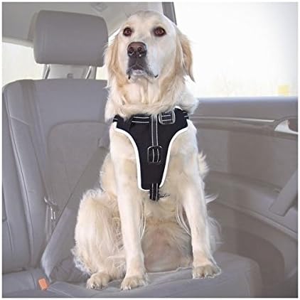 Trixie Dog Comfort car Harness, S-M: 40-55 cm/20 mm, Black