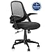 Ergousit Mid-Back Mesh Office Chair, Ergonomic Desk Chairs Swivel Computer Task Chairs with Adjustable Height and Flip-up Armrest - Lumbar Support and Sponge Cushion in Black (Black)