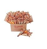 Popcornopolis™ Mini Cones 48-pack