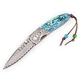 KUBEY Cutlery DM072 Gentleman's Hunting Knife with 3.0in Spear Point Damascus Steel Blade Liner Lock Thumb Open Outdoor Pocket Knife Collection (Shell & Steel Bolster)