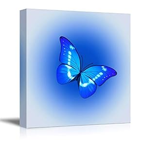 Canvas Wall Art Colorful Butterfly Pictures Home Wall Decorations for Bedroom Living Room Paintings Canvas Prints Framed - 12x12 inches