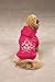 Zack & Zoey Crowned Crossbone Dog Hoodie with Skull & Crossbones and Rhinestones