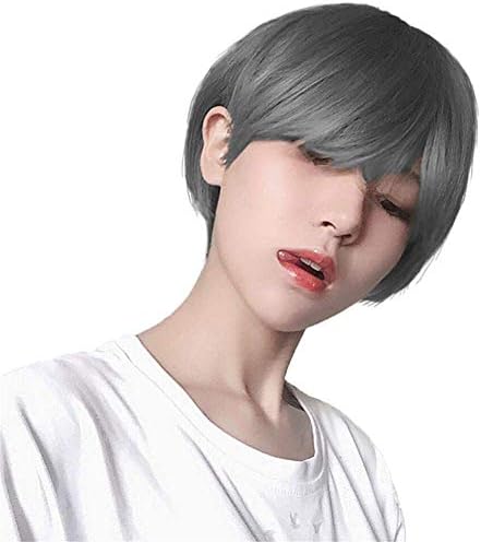 ディファーハンド Differhand ウィッグ ショート 男装 メンズ 男女両用 耐熱ファイバー フルウィッグ カツラ Web限定 ネット付