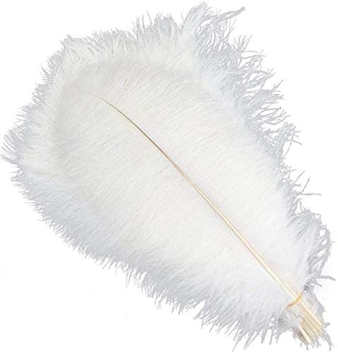 Vongcoki 50 Pcs Per lot 6-28 inch Ostrich Feather Stage Costume Wedding Decoration Feathers Party Supplies Carnival Dancer Decoration Plumage (8-10 inch)