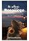 Livro No silêncio de um recomeço