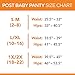 UpSpring Post Baby Panty Postpartum Care | High Waist | Postpartum Underwear to Support, Slim, and Smooth After Baby (Nude - S/M)